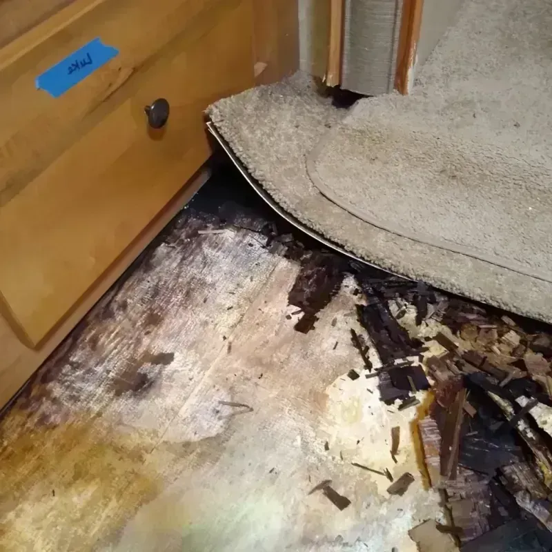 Wood Floor Water Damage in Paxton, IL